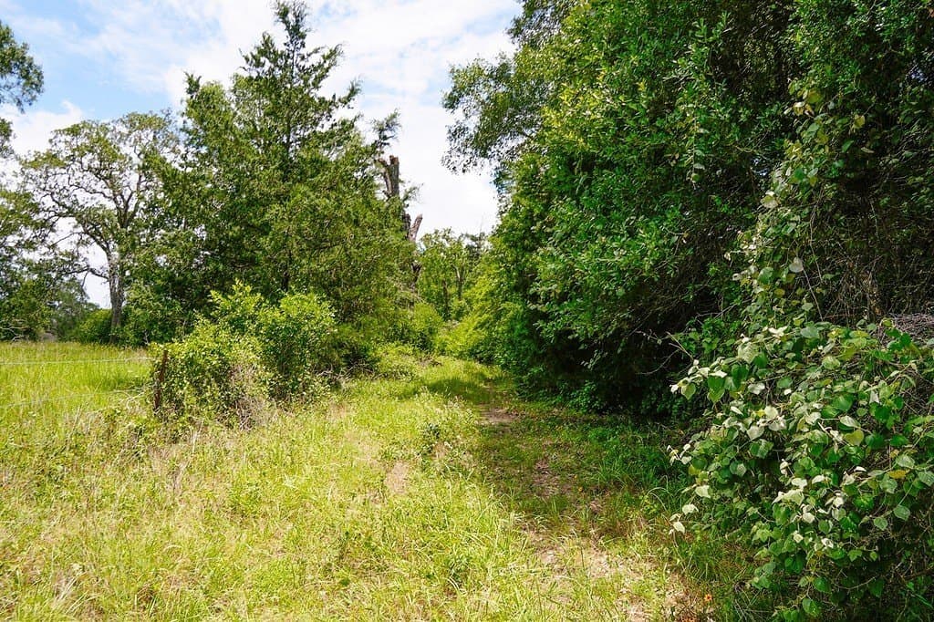 21.42 acres in Fayette County - photo 16