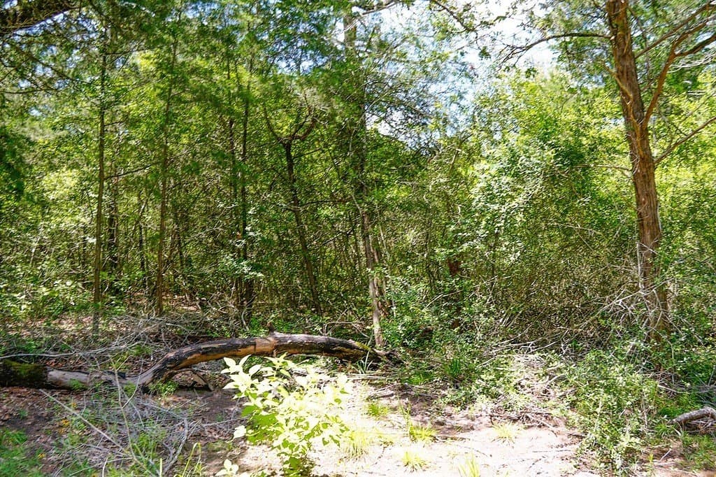 21.42 acres in Fayette County - photo 6
