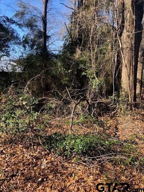Lot 2 TBD Lewis St