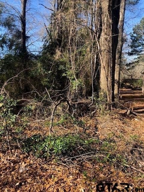 0.02 acres in Rusk County - photo 3