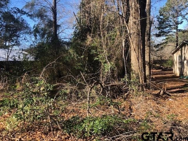0.02 acres in Rusk County - photo 2