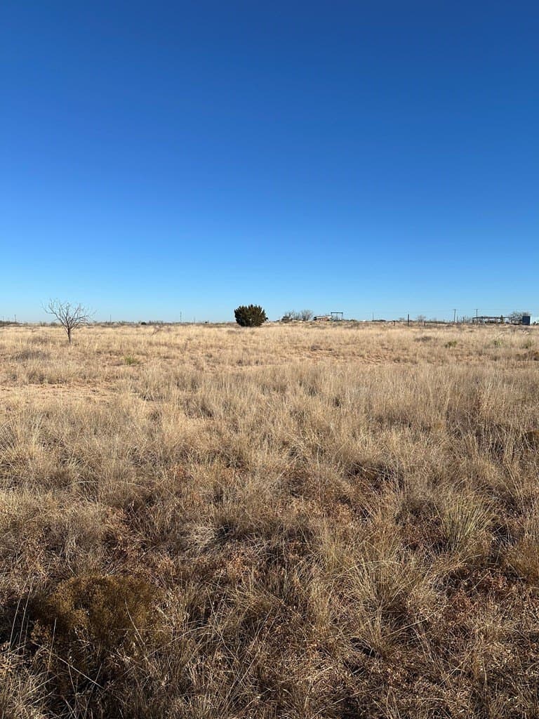 5 acres in Scurry County - photo 2