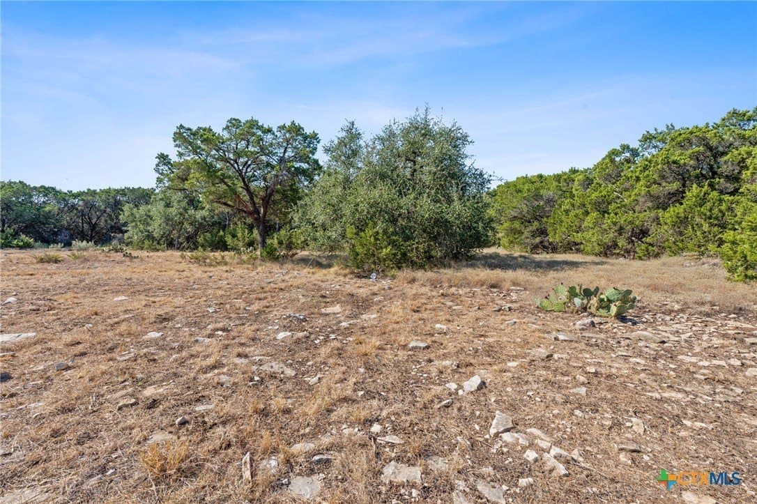 12.46 acres in Comal County - photo 42