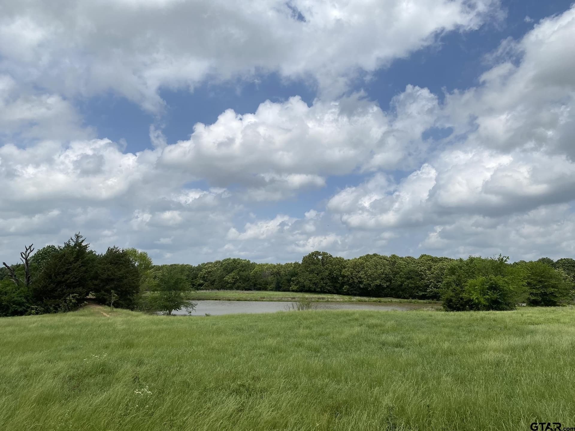 32 acres in Van Zandt County - photo 4