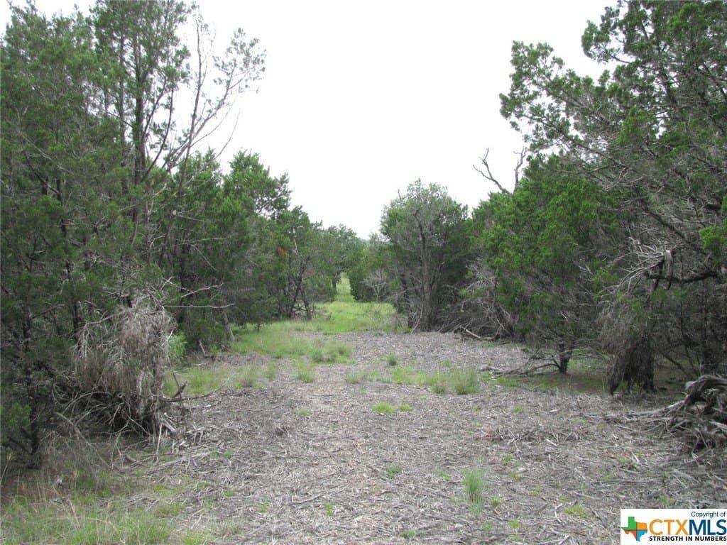 10.01 acres in Hamilton County - photo 3