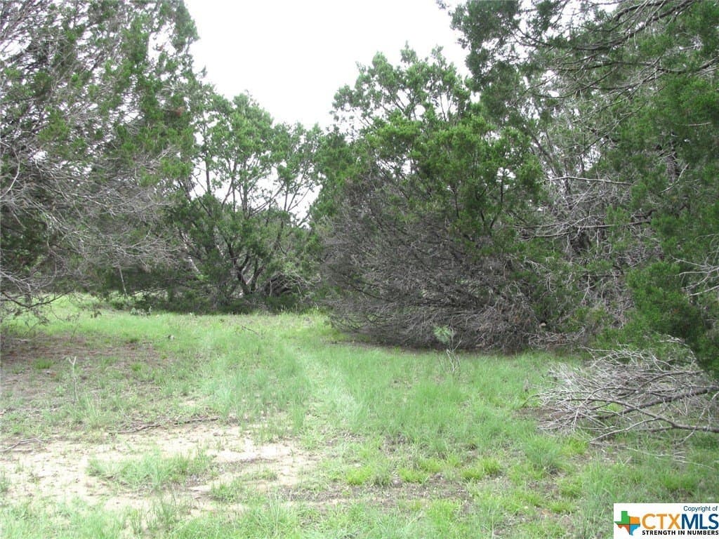 10.01 acres in Hamilton County - photo 4