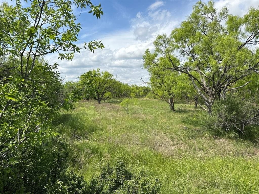 11 acres in Callahan County - photo 2