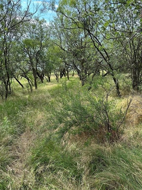 11 acres in Callahan County - photo 3