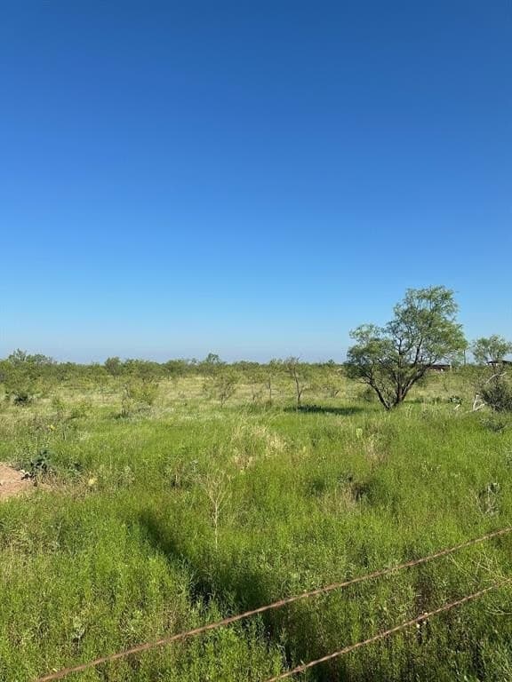 11 acres in Callahan County - photo 4