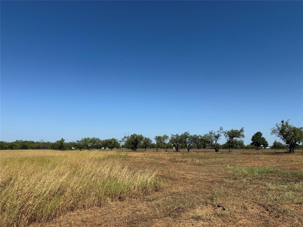 11.56 acres in Taylor County - photo 15