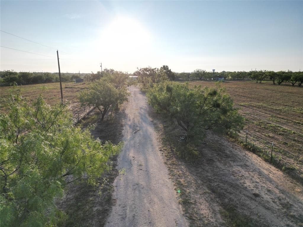 11.56 acres in Taylor County - photo 10
