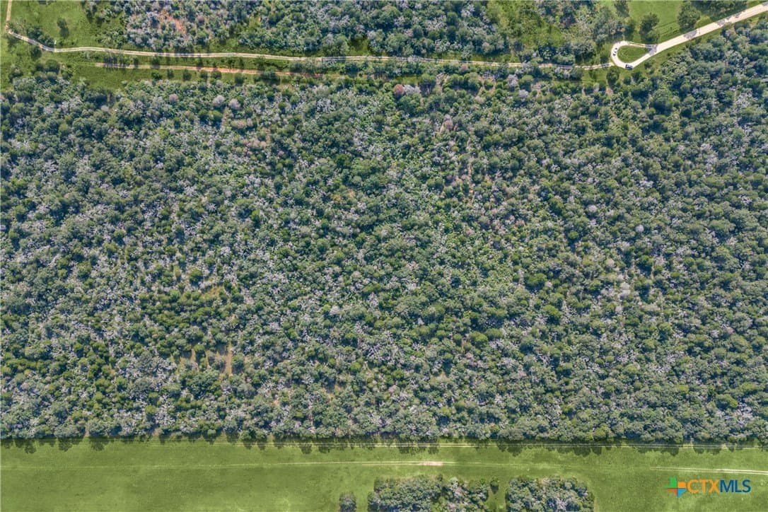 45.31 acres in Caldwell County - photo 5