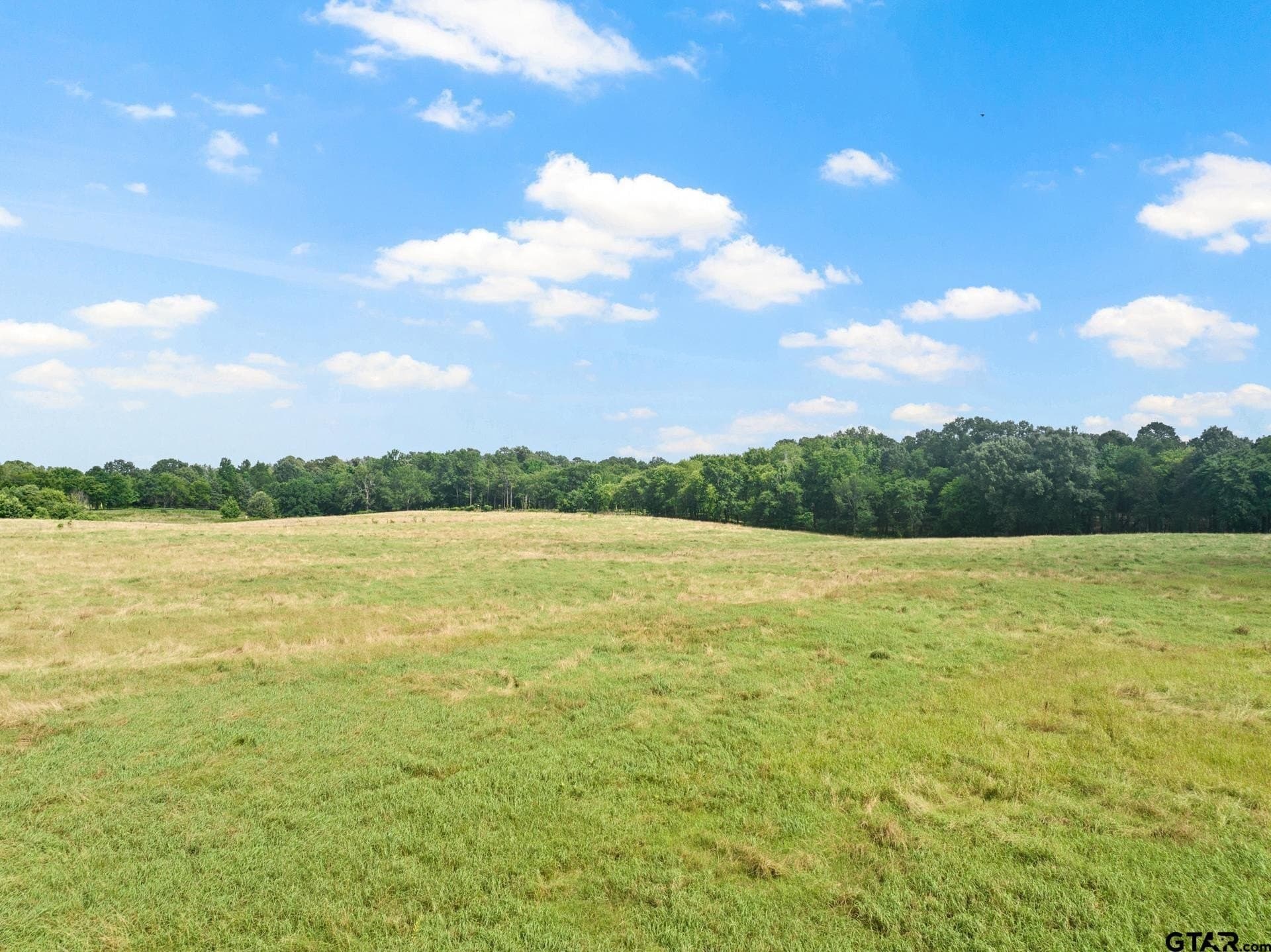 11 acres in Titus County - photo 9