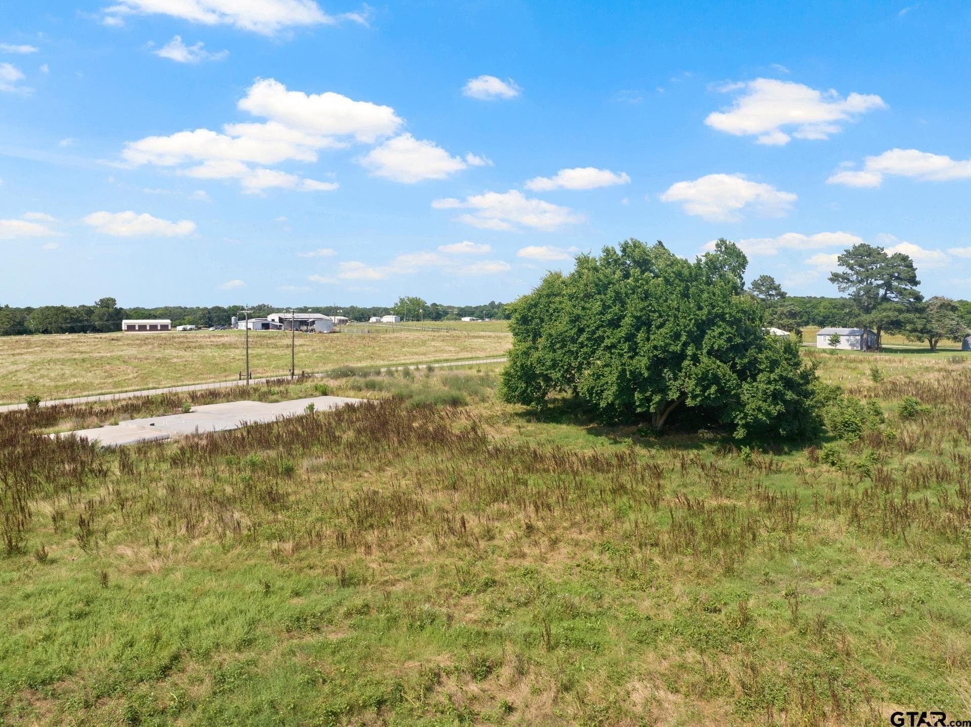 11 acres in Titus County - photo 16