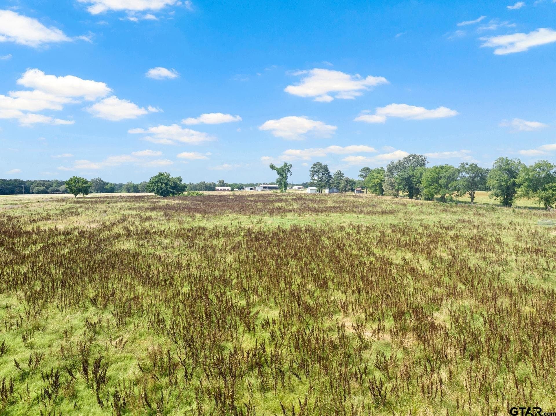 11 acres in Titus County - photo 11