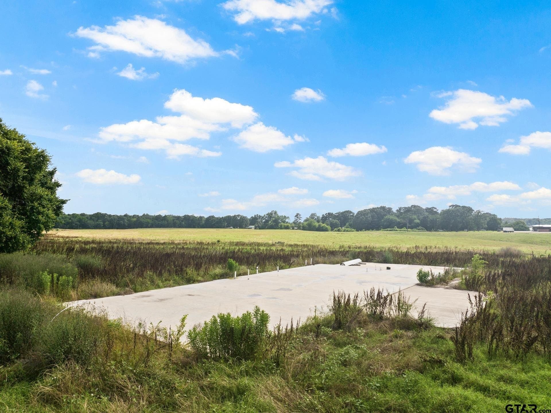 11 acres in Titus County - photo 4