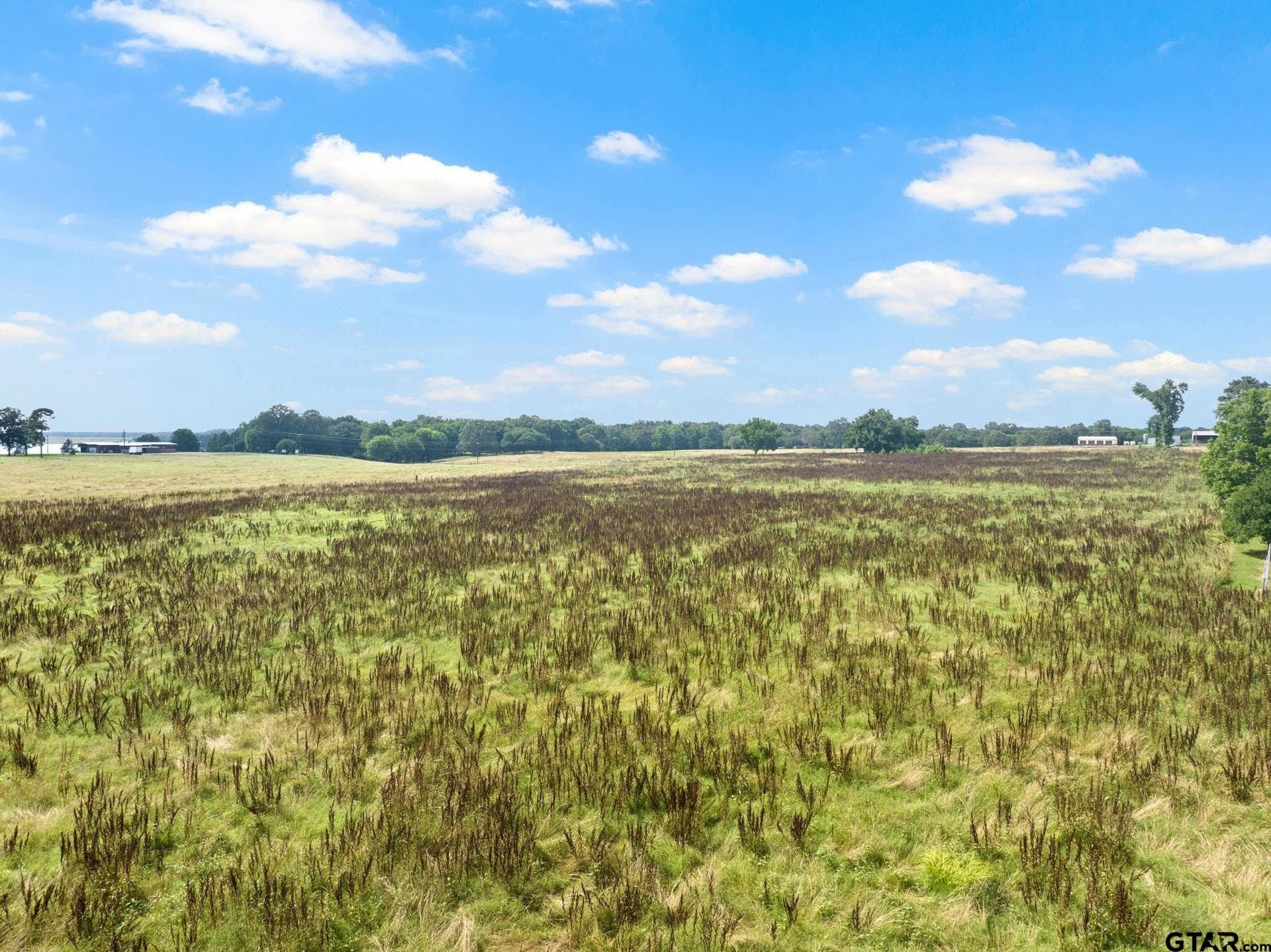 11 acres in Titus County - photo 10