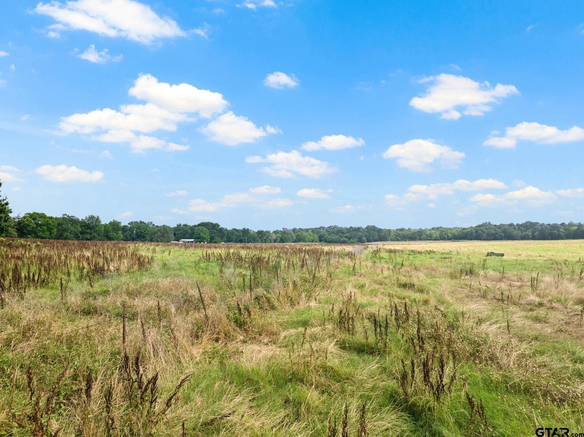 11 acres in Titus County - photo 2