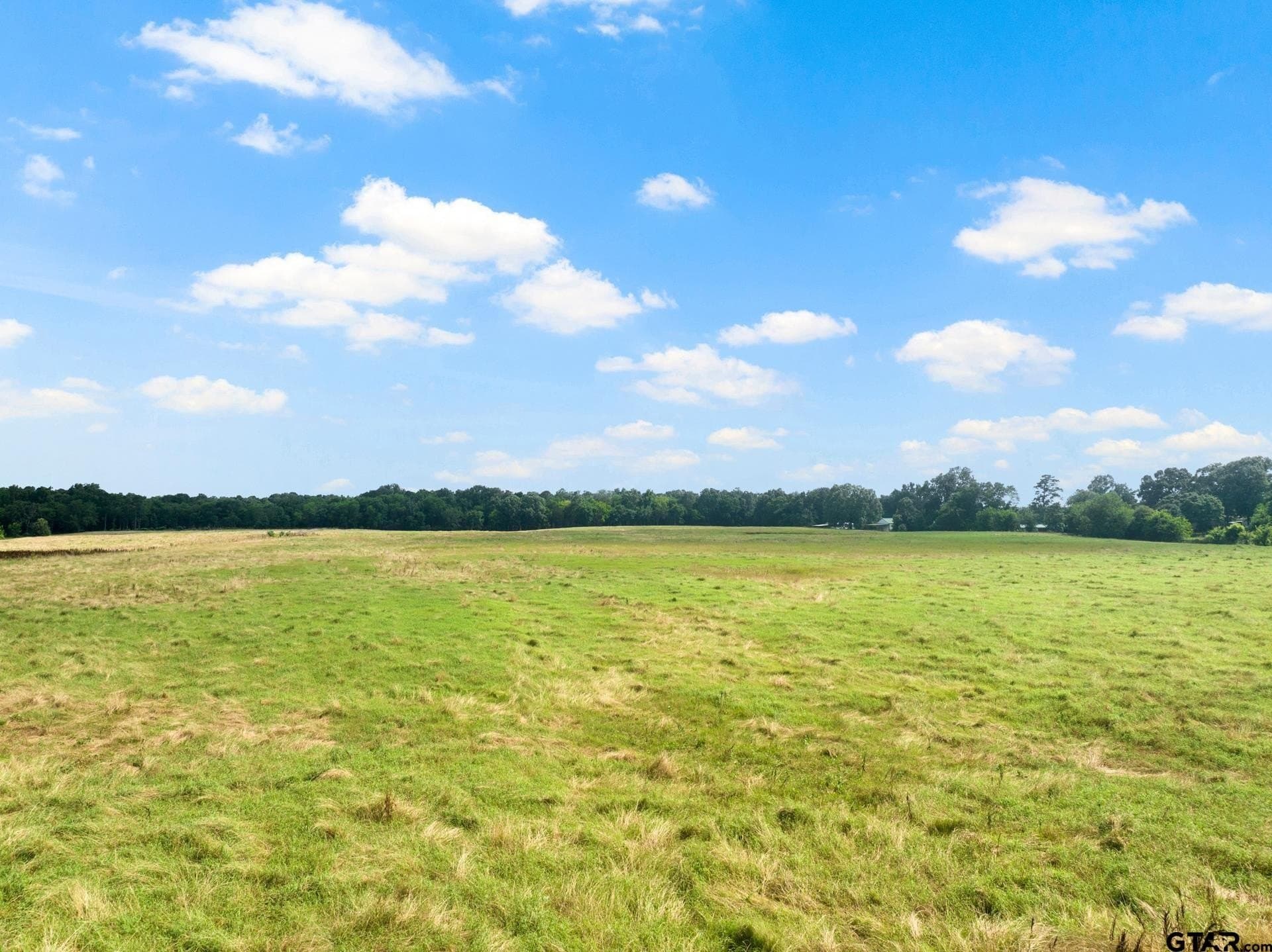 11 acres in Titus County - photo 5