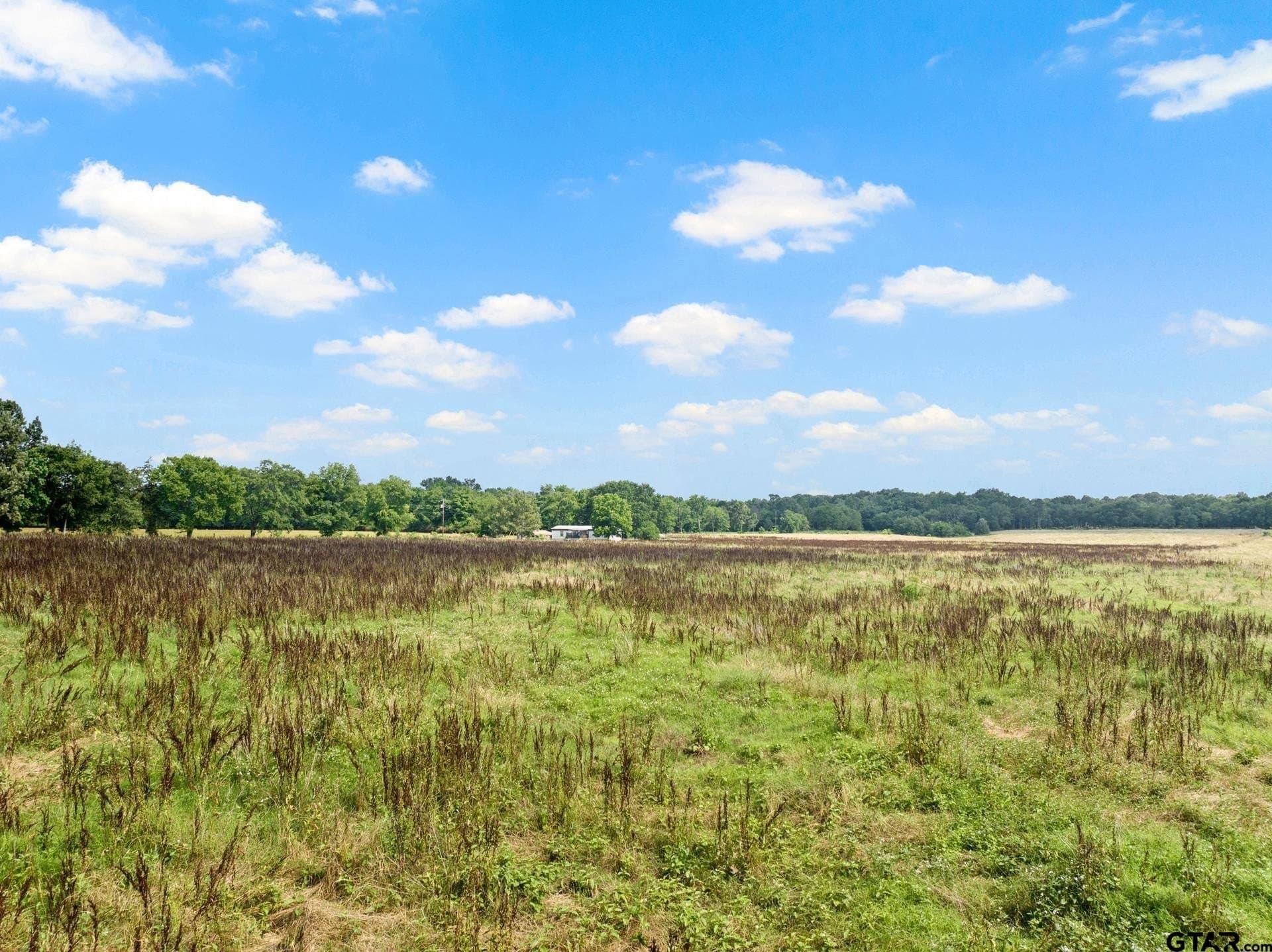 11 acres in Titus County - photo 6