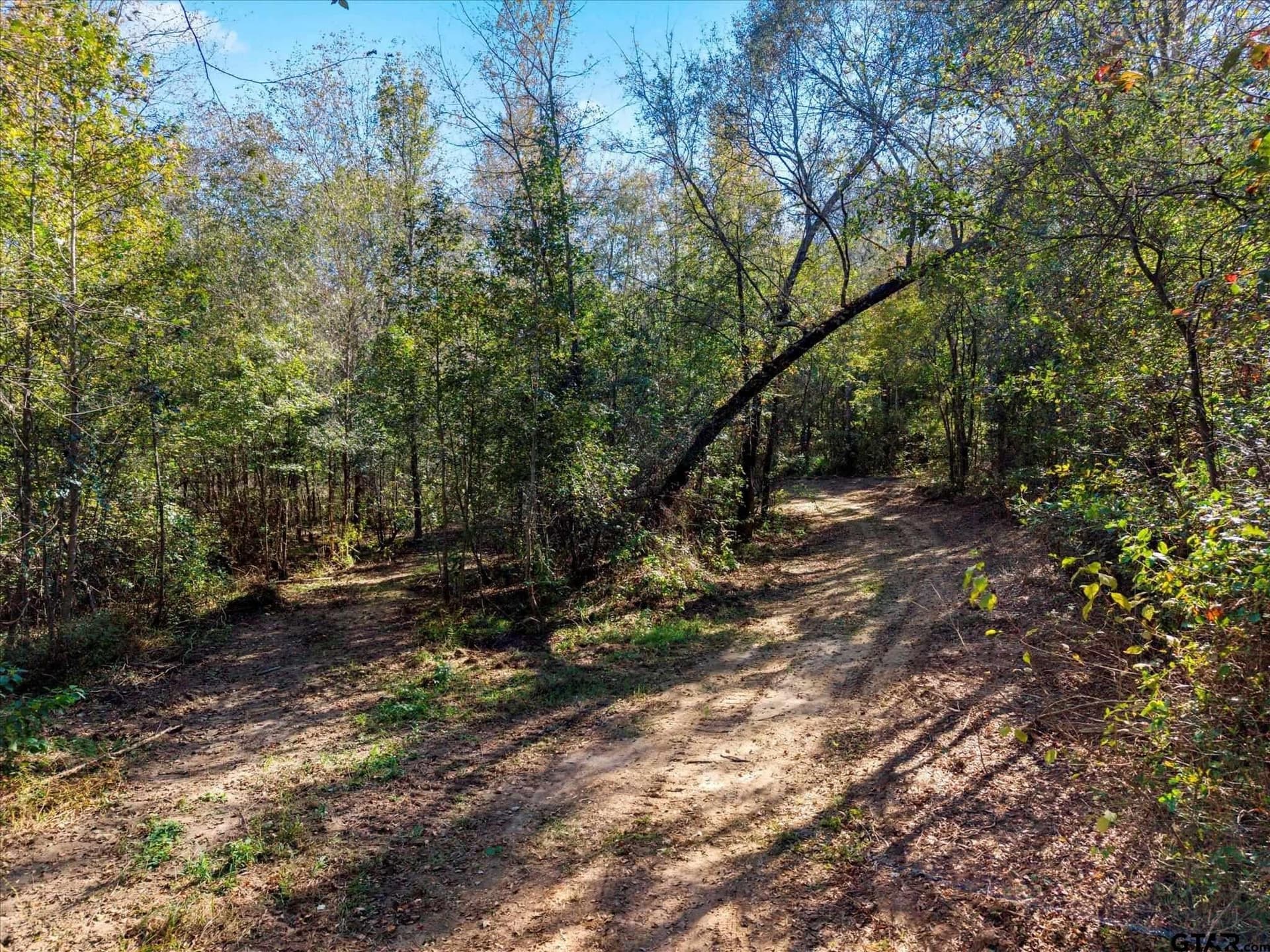 28.13 acres in Upshur County - photo 17