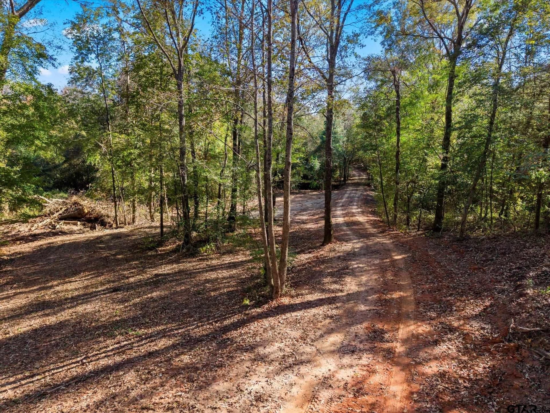 28.13 acres in Upshur County - photo 14