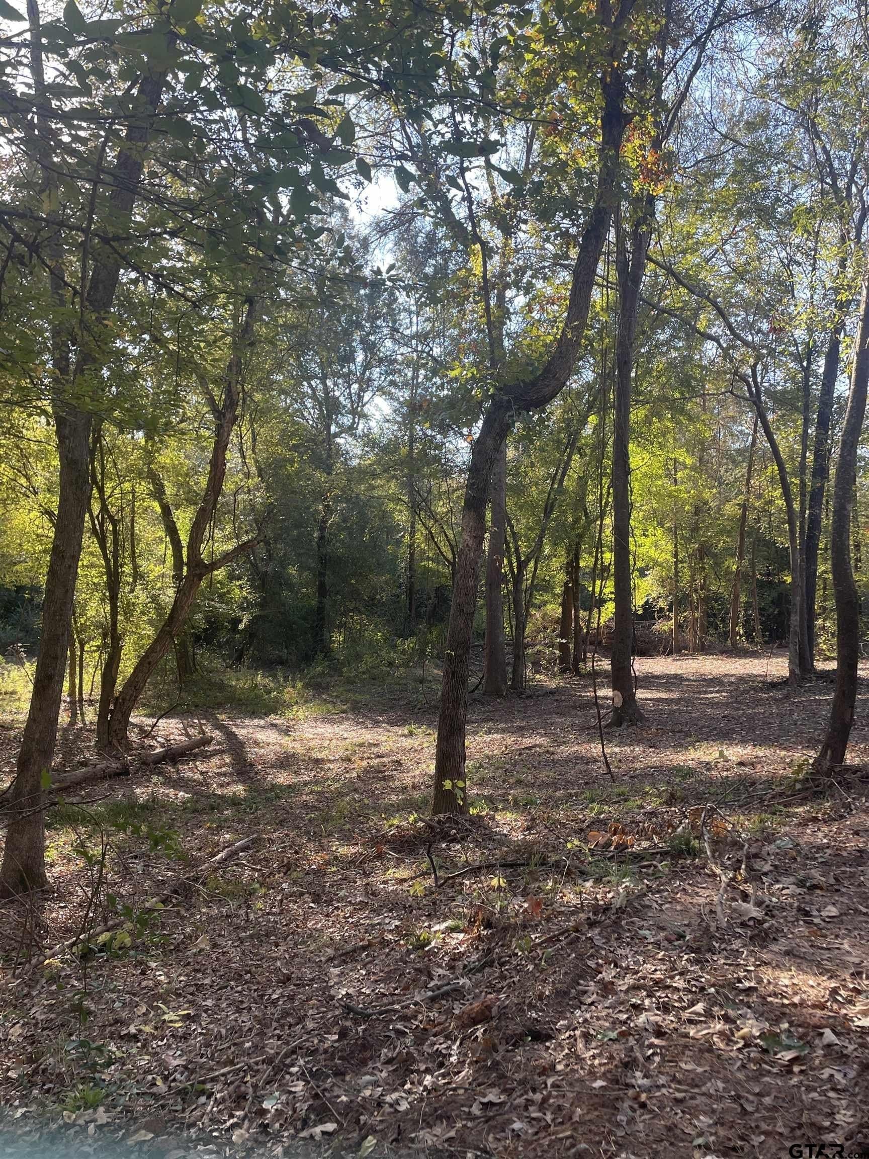 28.13 acres in Upshur County - photo 10