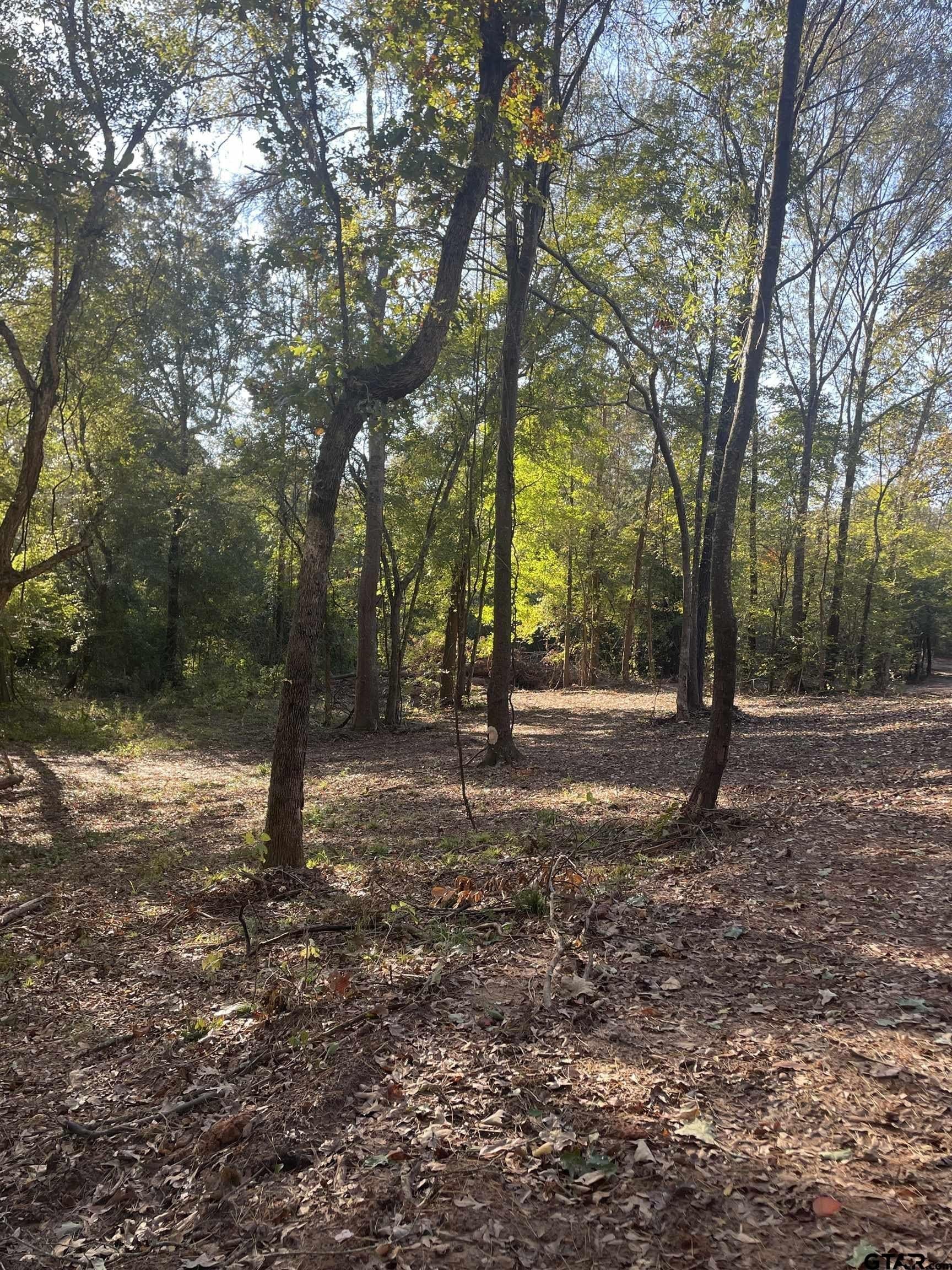 28.13 acres in Upshur County - photo 9