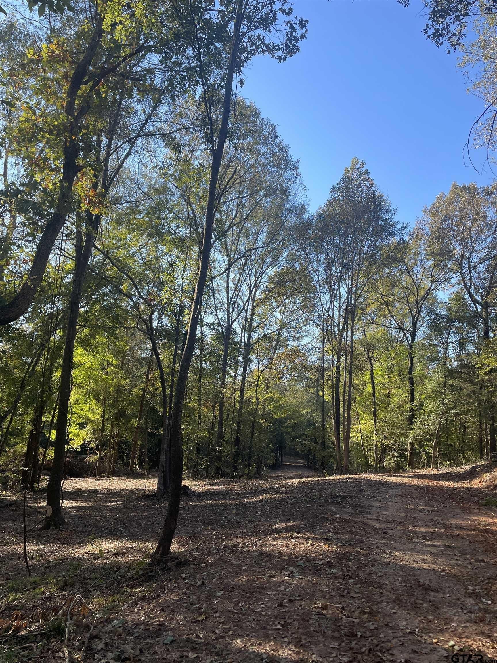 28.13 acres in Upshur County - photo 37