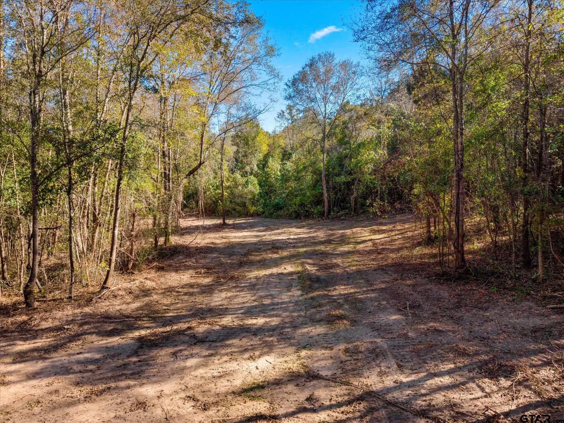 28.13 acres in Upshur County - photo 20