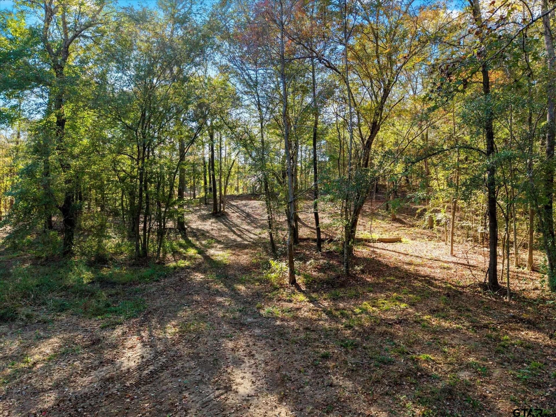 28.13 acres in Upshur County - photo 4