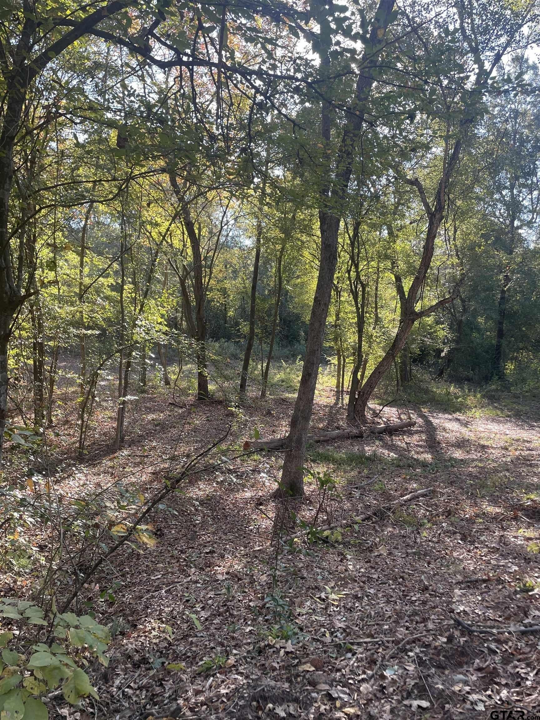 28.13 acres in Upshur County - photo 11
