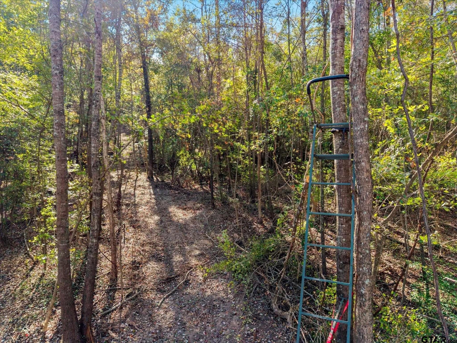 28.13 acres in Upshur County - photo 19