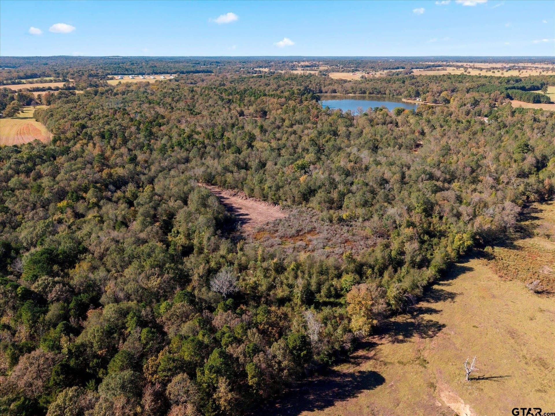 28.13 acres in Upshur County - photo 34