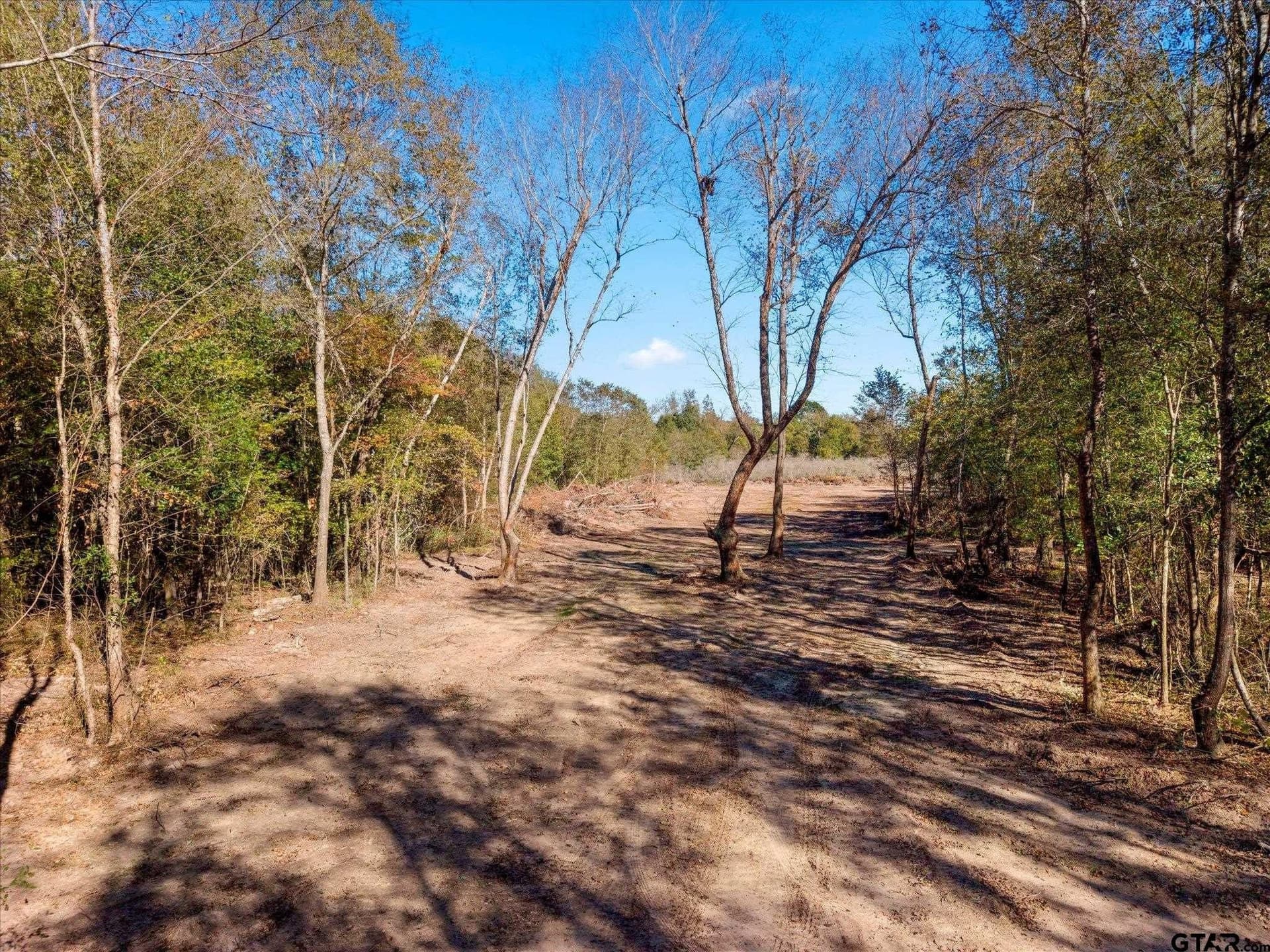 28.13 acres in Upshur County - photo 21