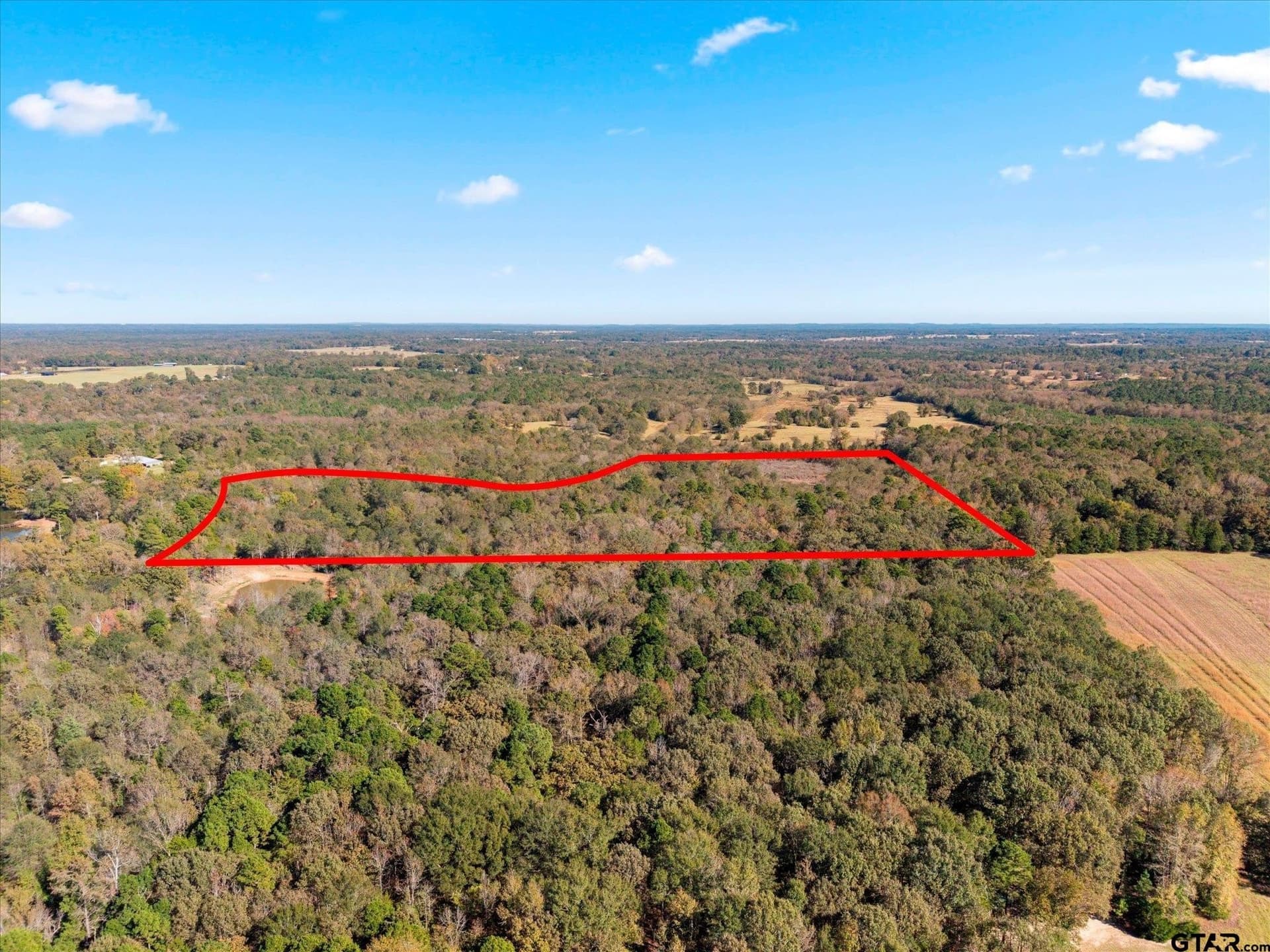 28.13 acres in Upshur County - photo 25