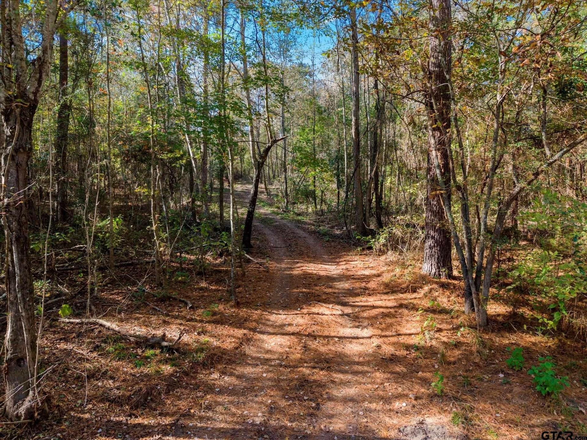 28.13 acres in Upshur County - photo 16