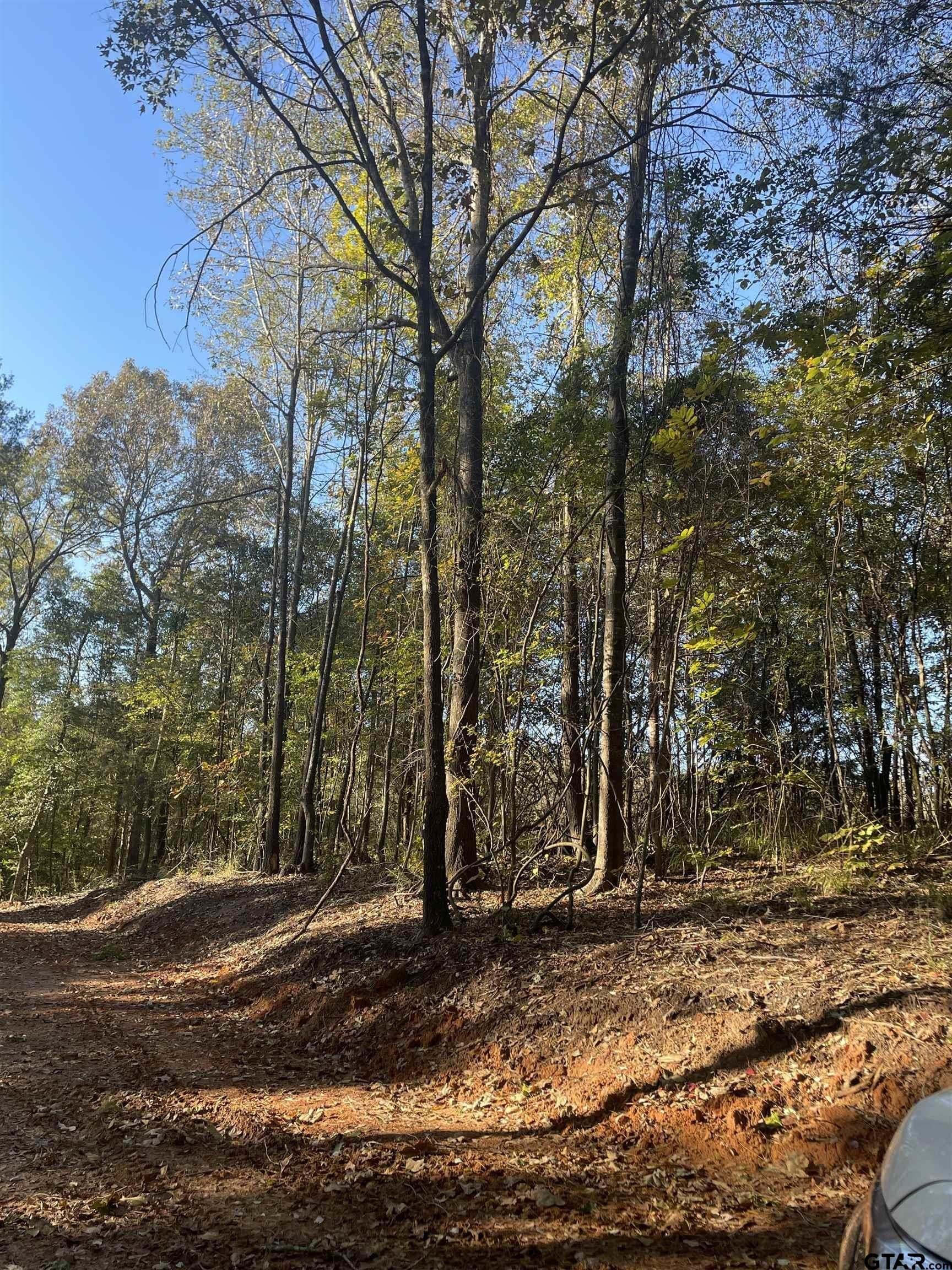 28.13 acres in Upshur County - photo 29