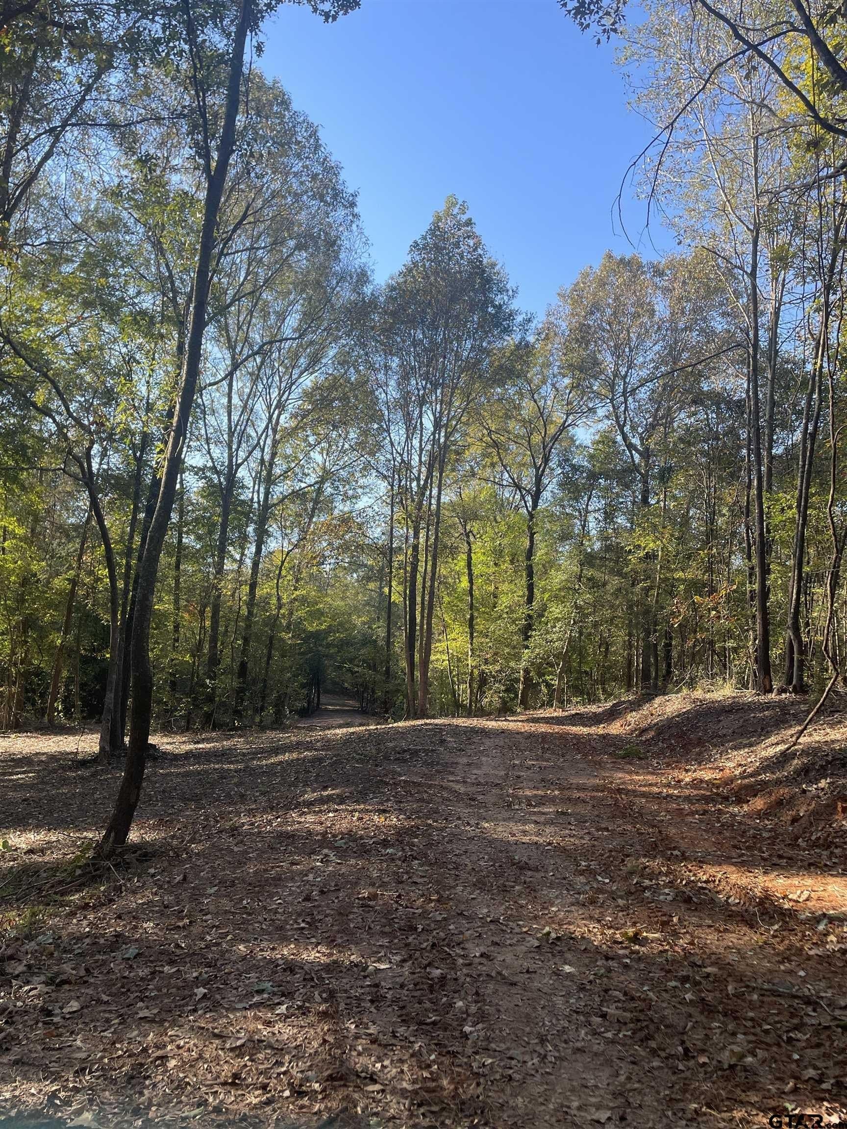 28.13 acres in Upshur County - photo 3