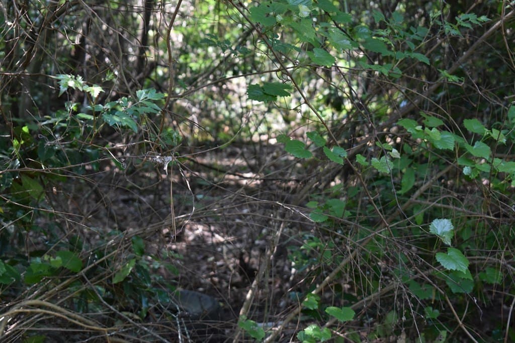 0.21 acres in HENDERSON County - photo 3