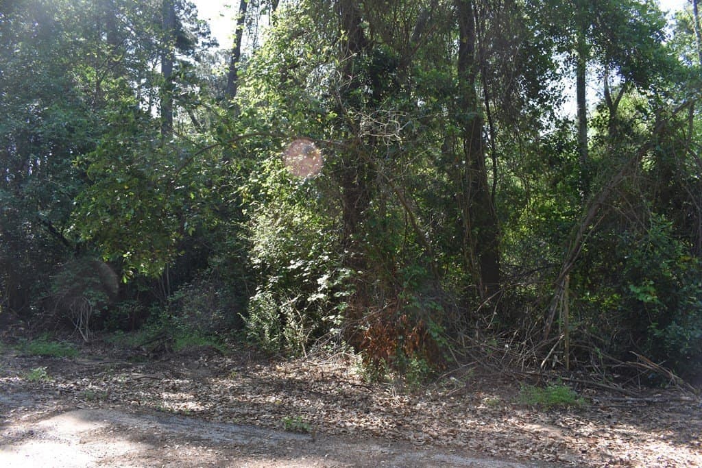 0.21 acres in HENDERSON County - photo 4