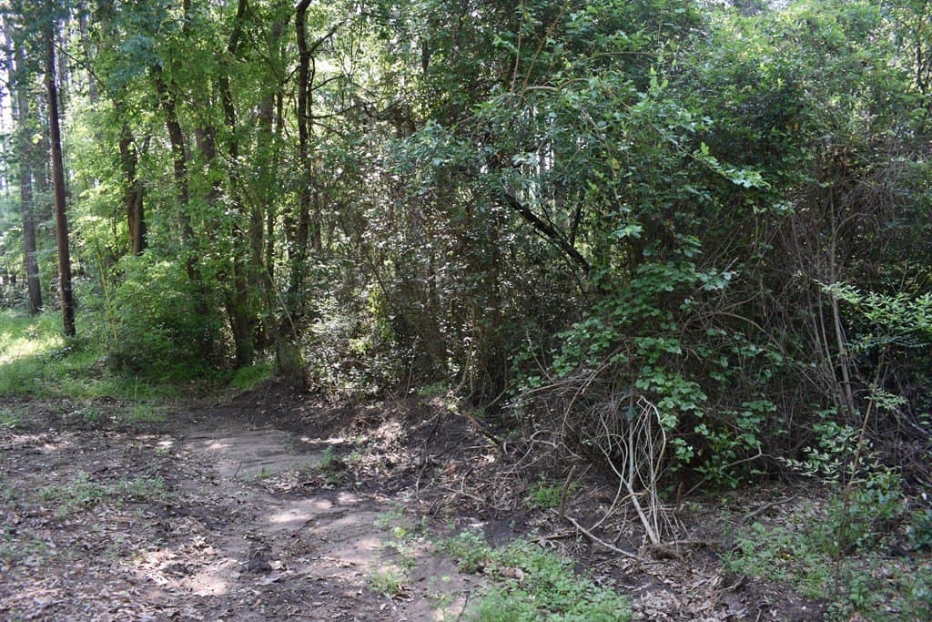 0.21 acres in HENDERSON County - photo 2