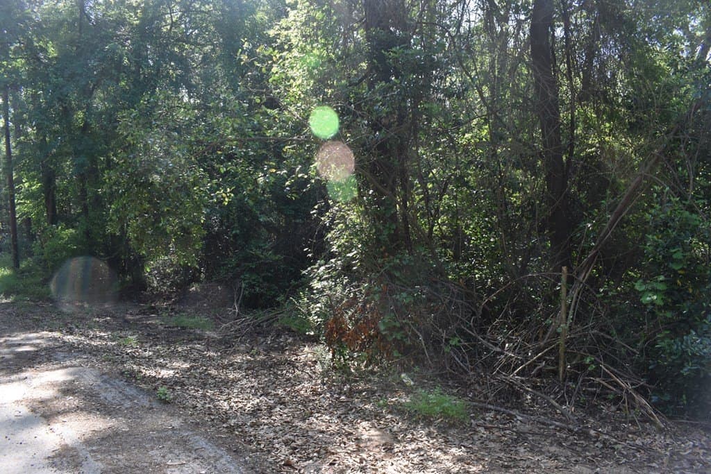 0.21 acres in HENDERSON County - photo 5