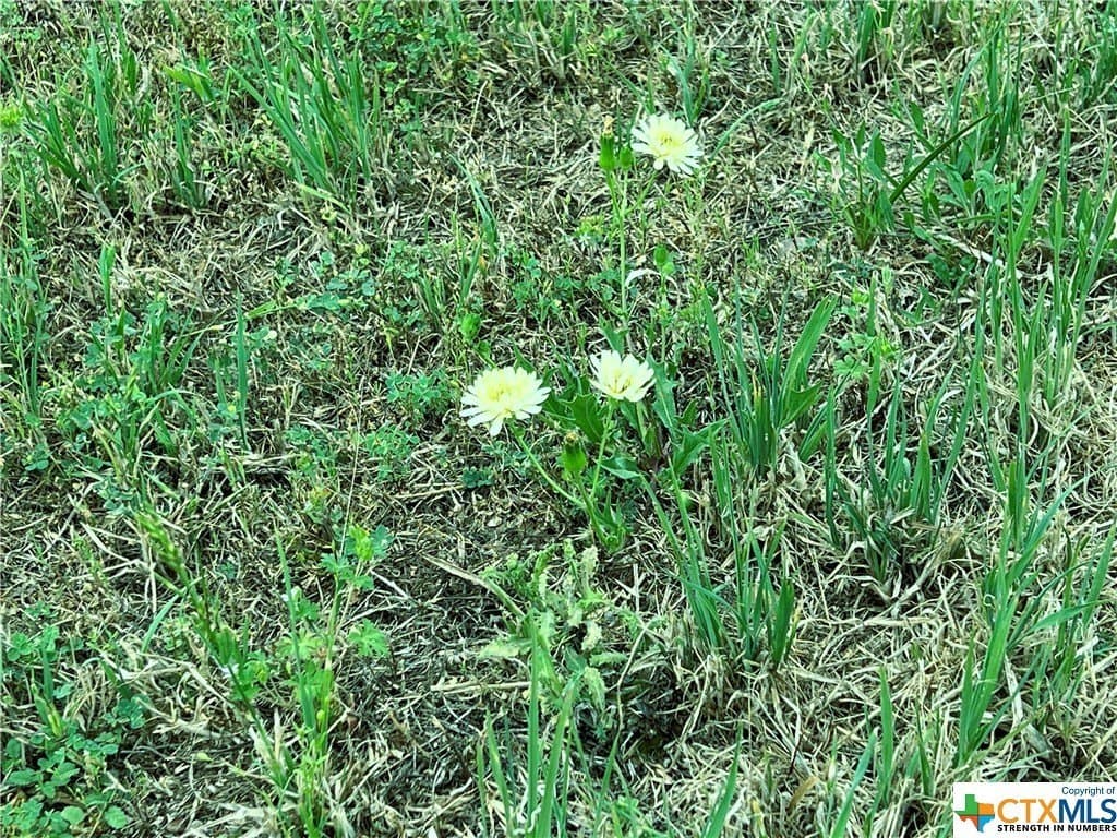 1.07 acres in Lavaca County - photo 6