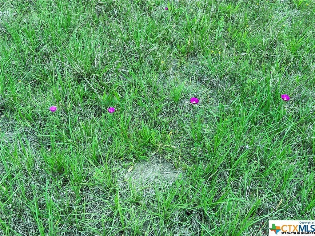 1.07 acres in Lavaca County - photo 4
