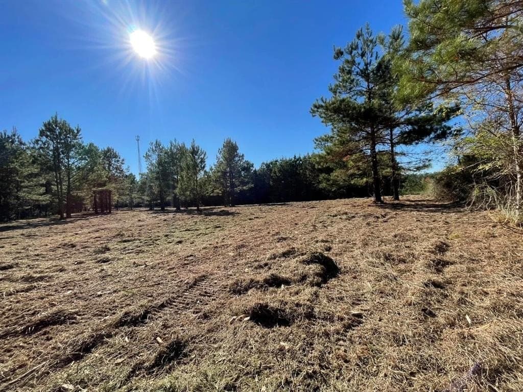 6.64 acres in Polk County - photo 12