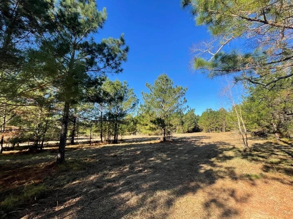 6.64 acres in Polk County - photo 18