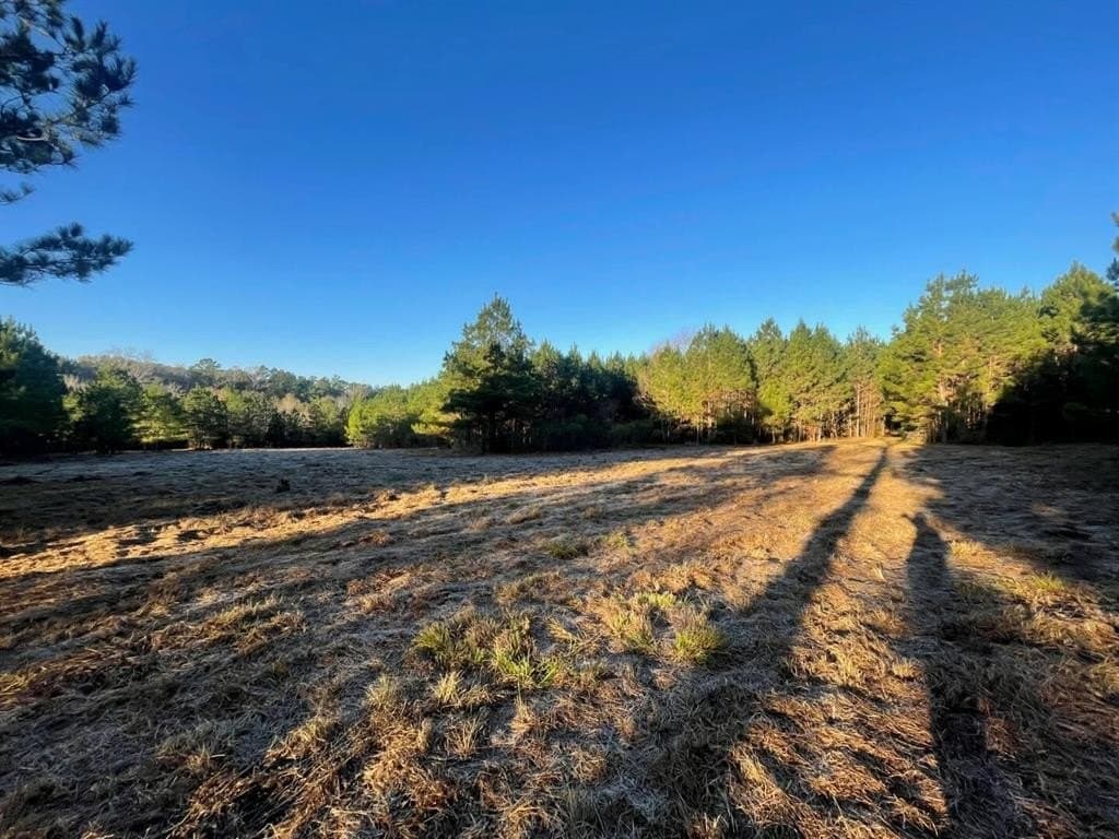 6.64 acres in Polk County - photo 16