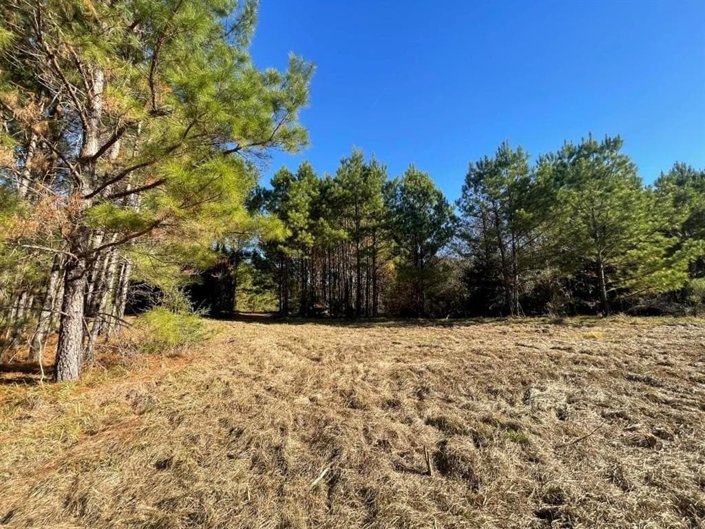 6.64 acres in Polk County - photo 22