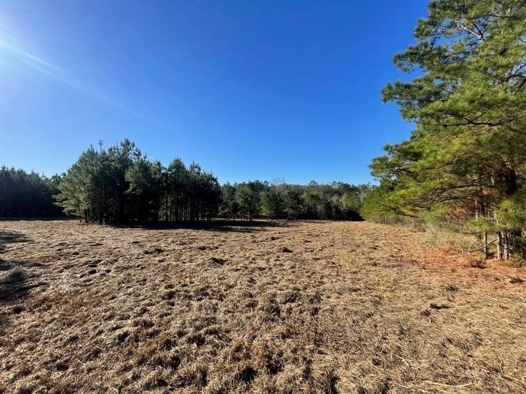 6.64 acres in Polk County - photo 24